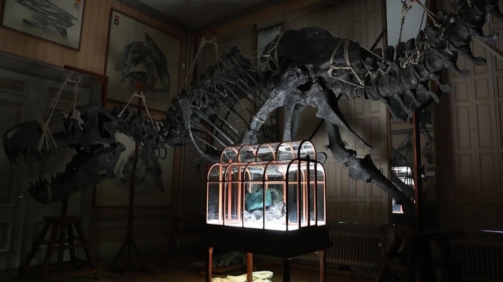 va bolso piel de dinosaurio