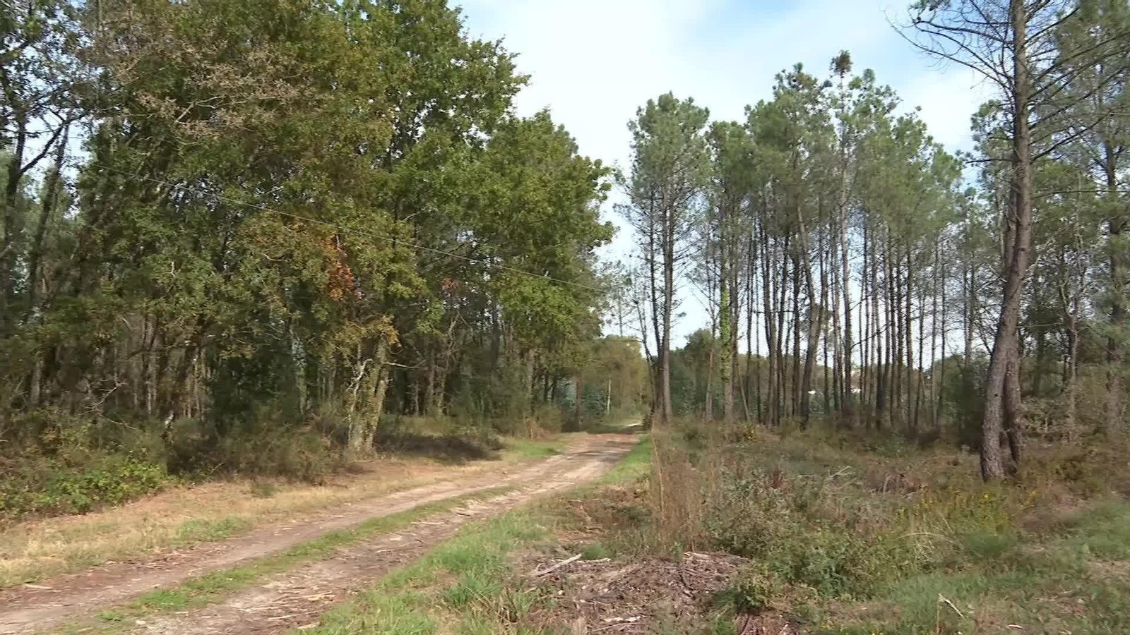 S034-A CORUÑA MUERE CONCEJAL PICADURA VELUTINA