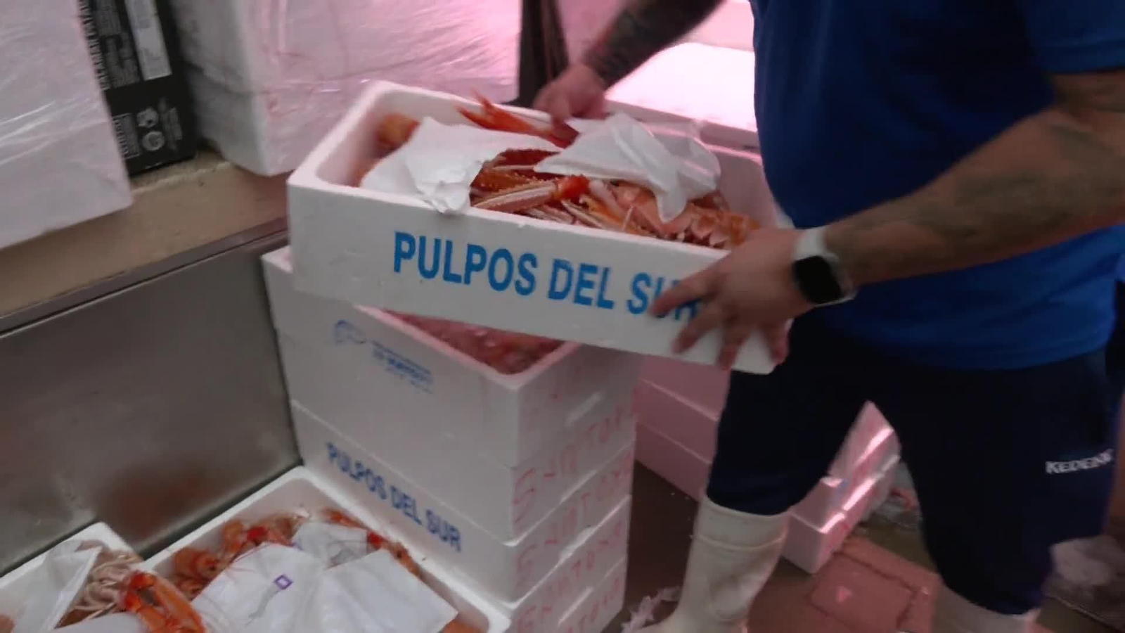 J066-MALAGA MERCADOS