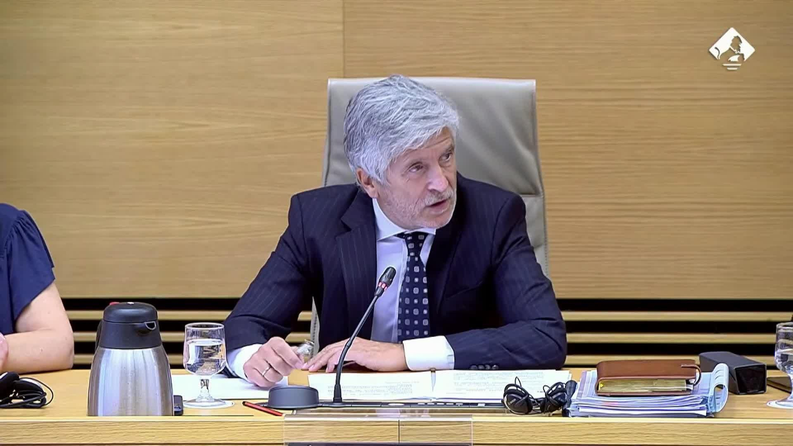 va marlaska congreso