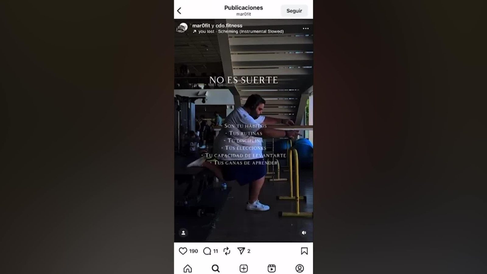 web influencer gordito