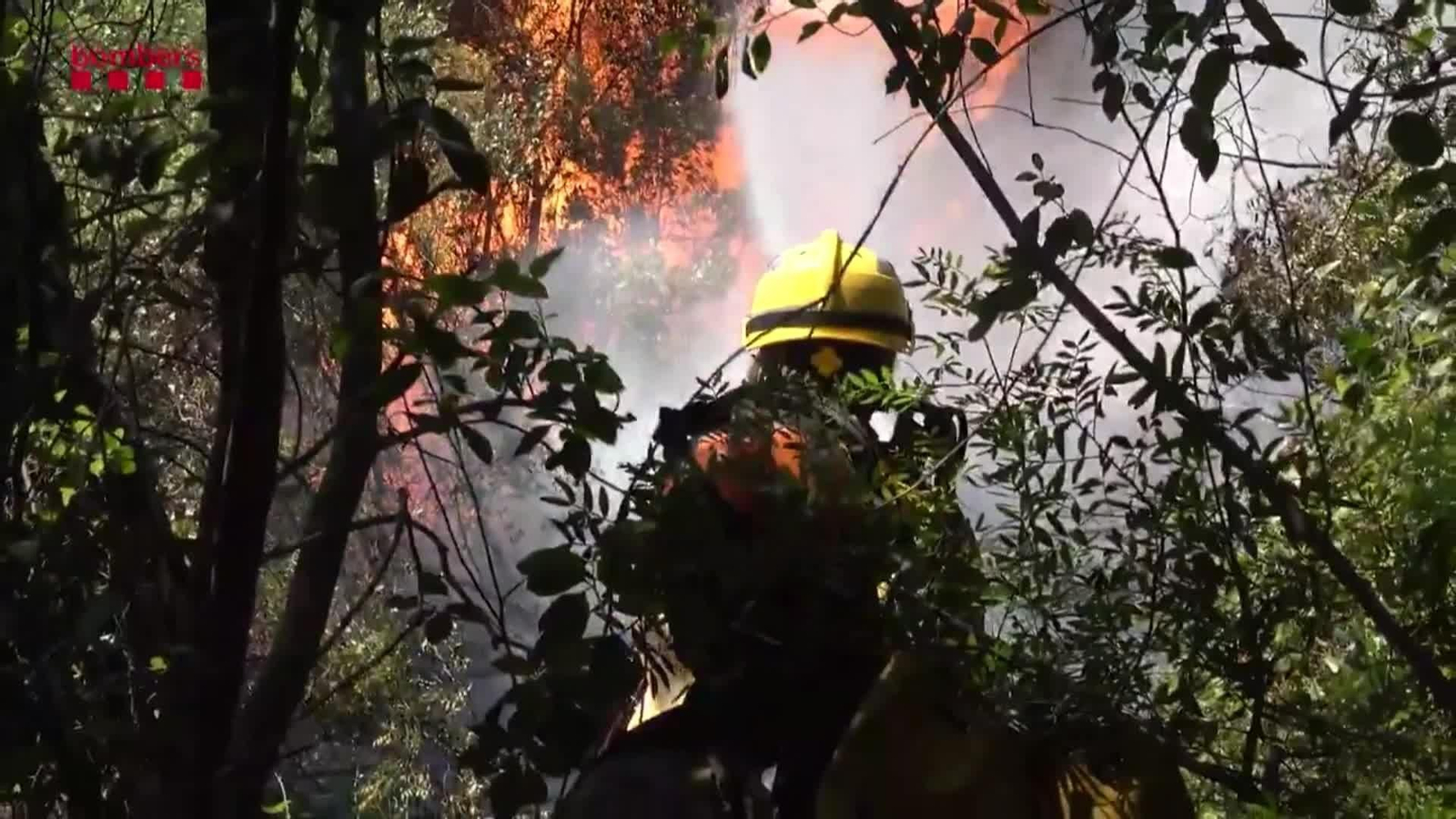 V001-EDI VARIOS COMO AFRONTAR LOS INCENDIOS