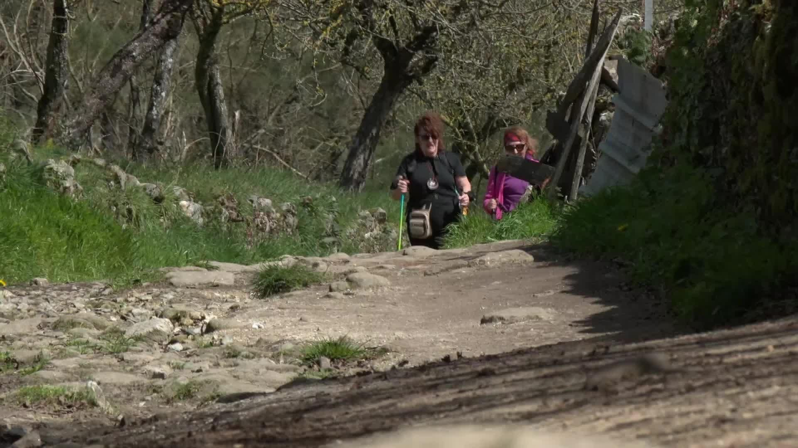 L002-EDI LUGO CAMINO PARA JOVENES ADICTOS AL MOVIL