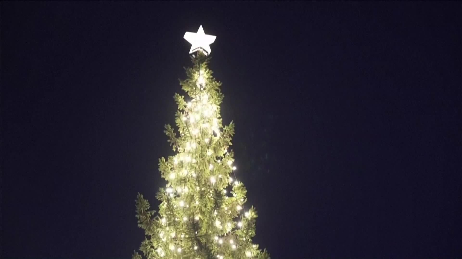 va trump arbol casa blanca