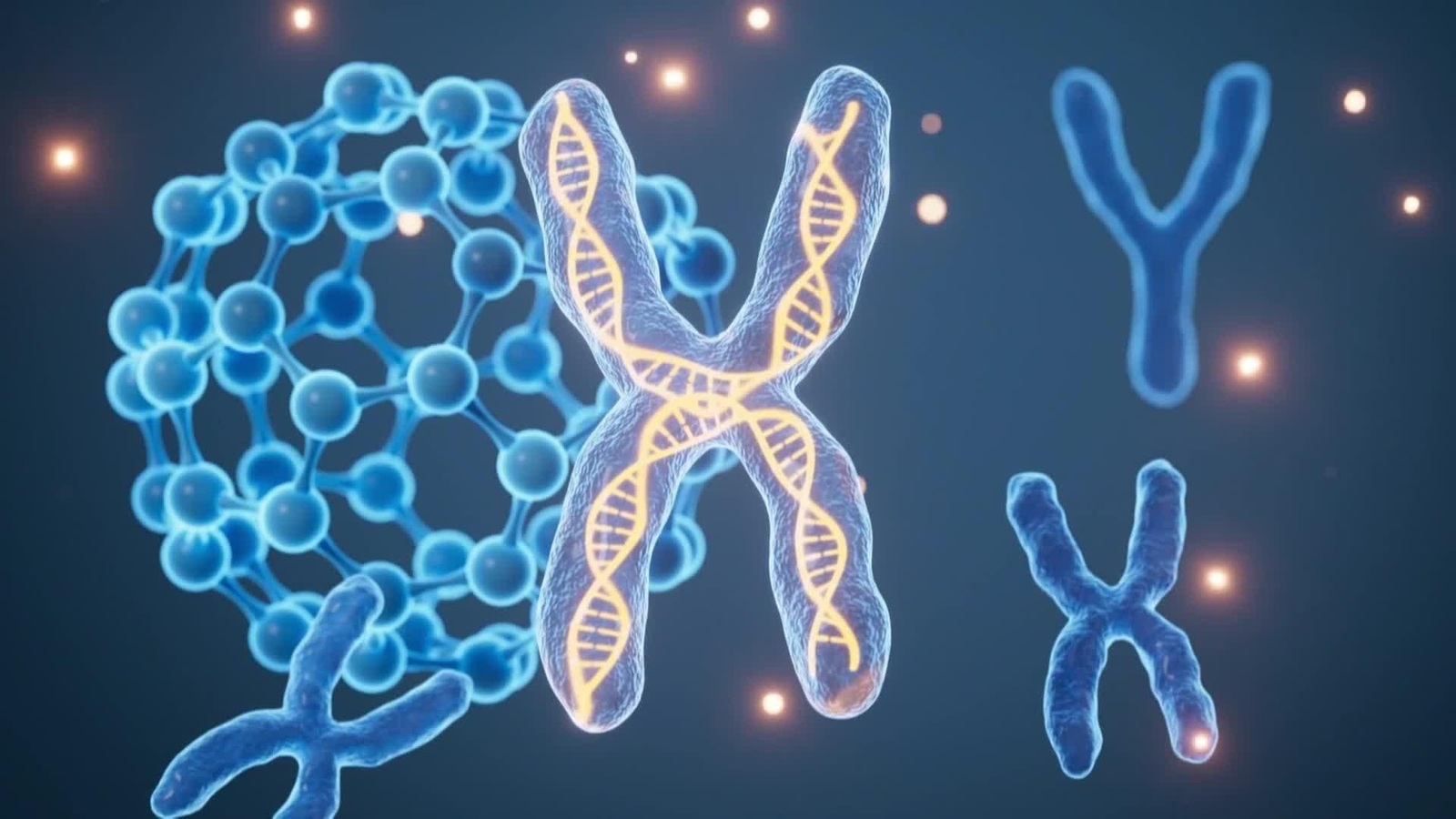 web esta arruga lleva tu nombre