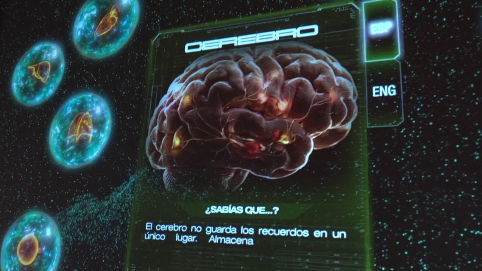 va expo cuerpo humano