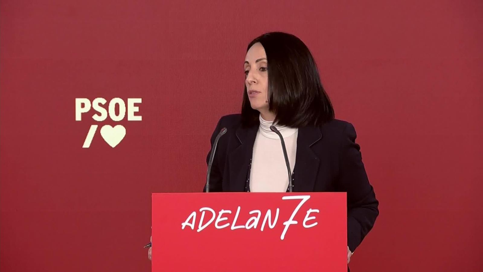 V054-MADRID REBECA TORRO INFORME ACOSO 2