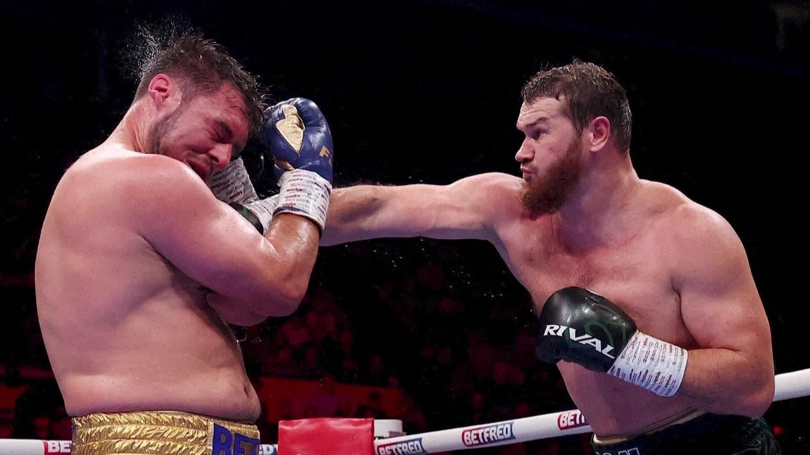 web boxeo enfrentamiento