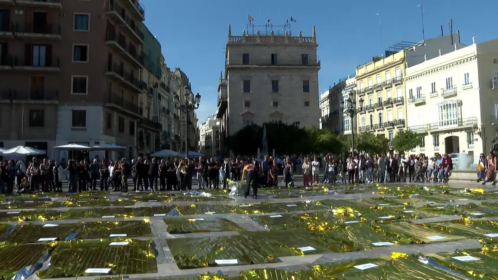 va performance mantas muertos dana va performance mantas muertos dana