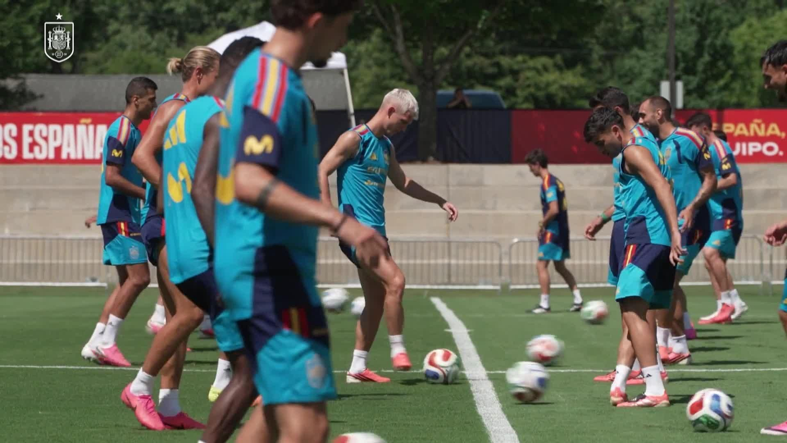 va entrenamiento seleccion
