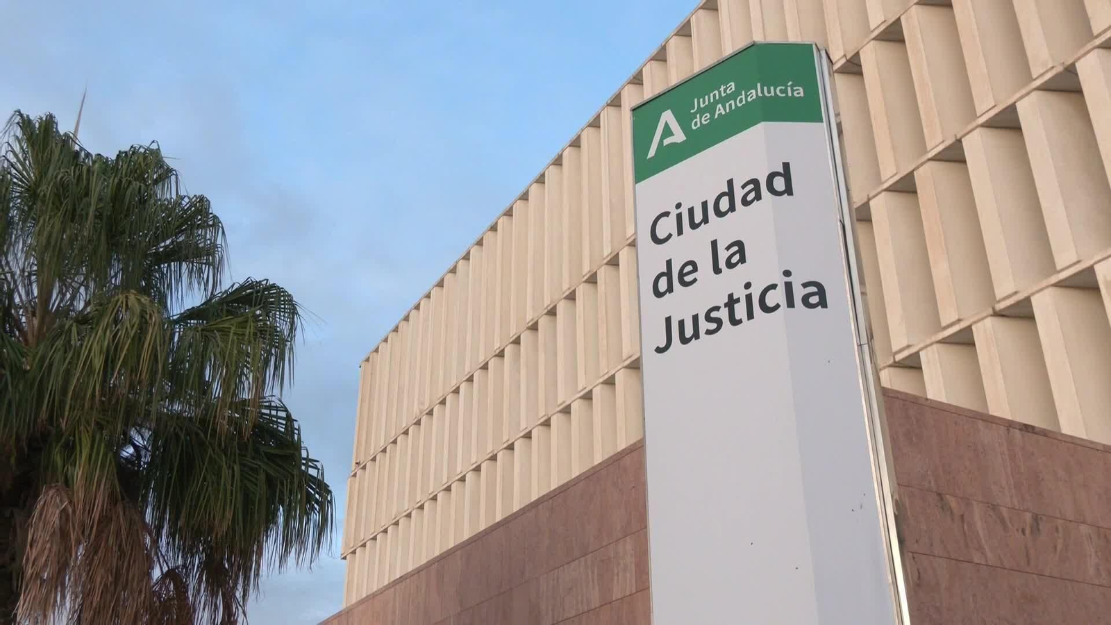 X035-MALAGA JUICIO PADRE CUSTODIO