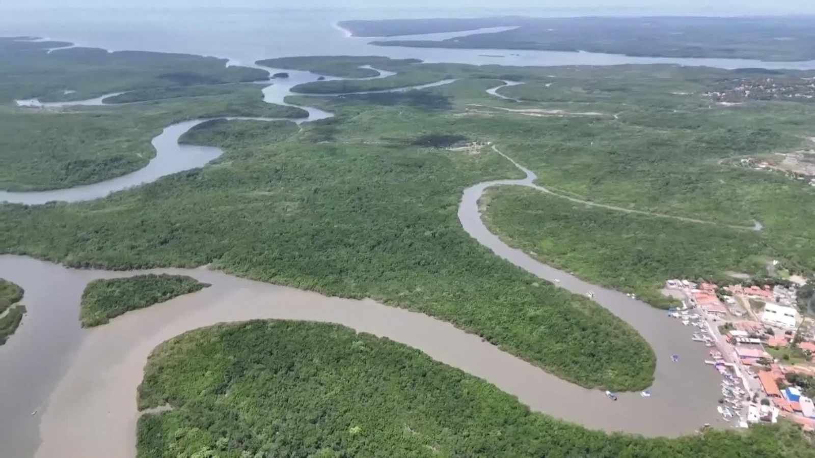 web conferencia clima