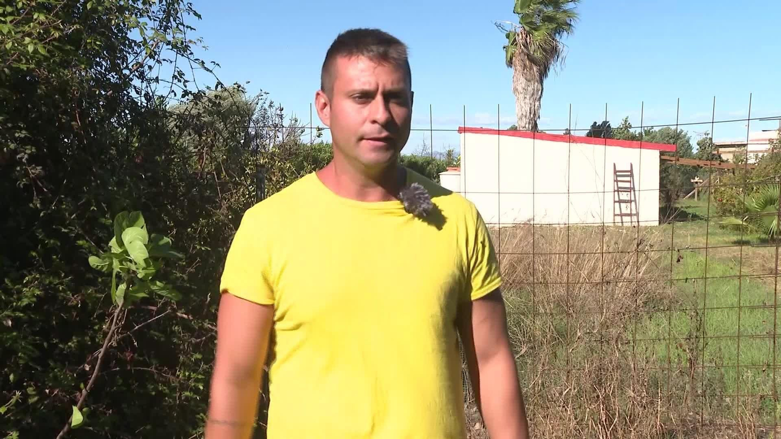 J044-VARIOS GRIPE AVIAR