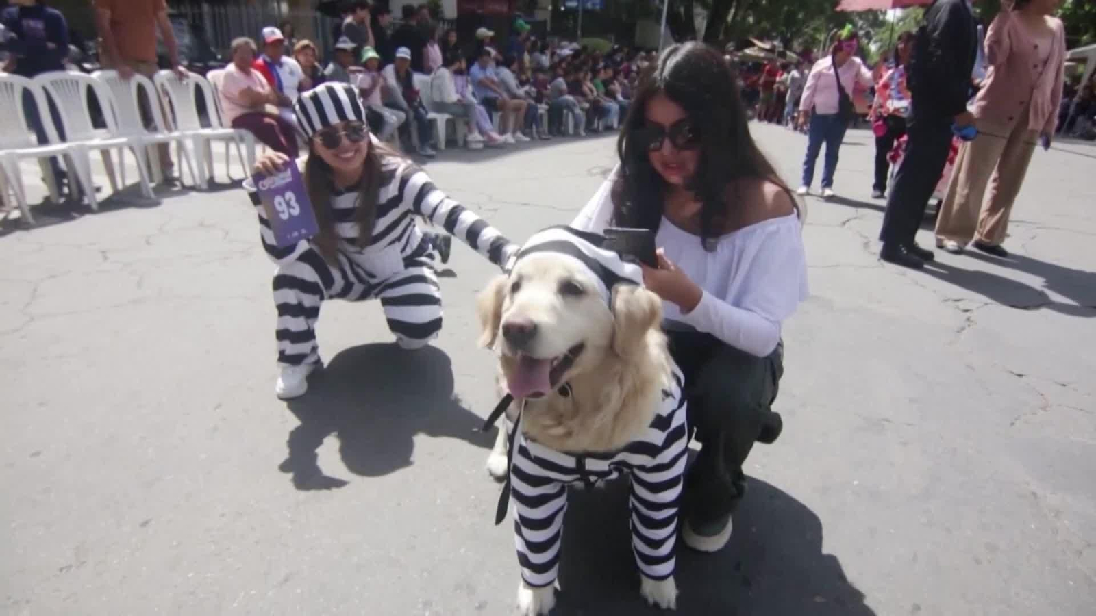 va bolivia carnaval perruna