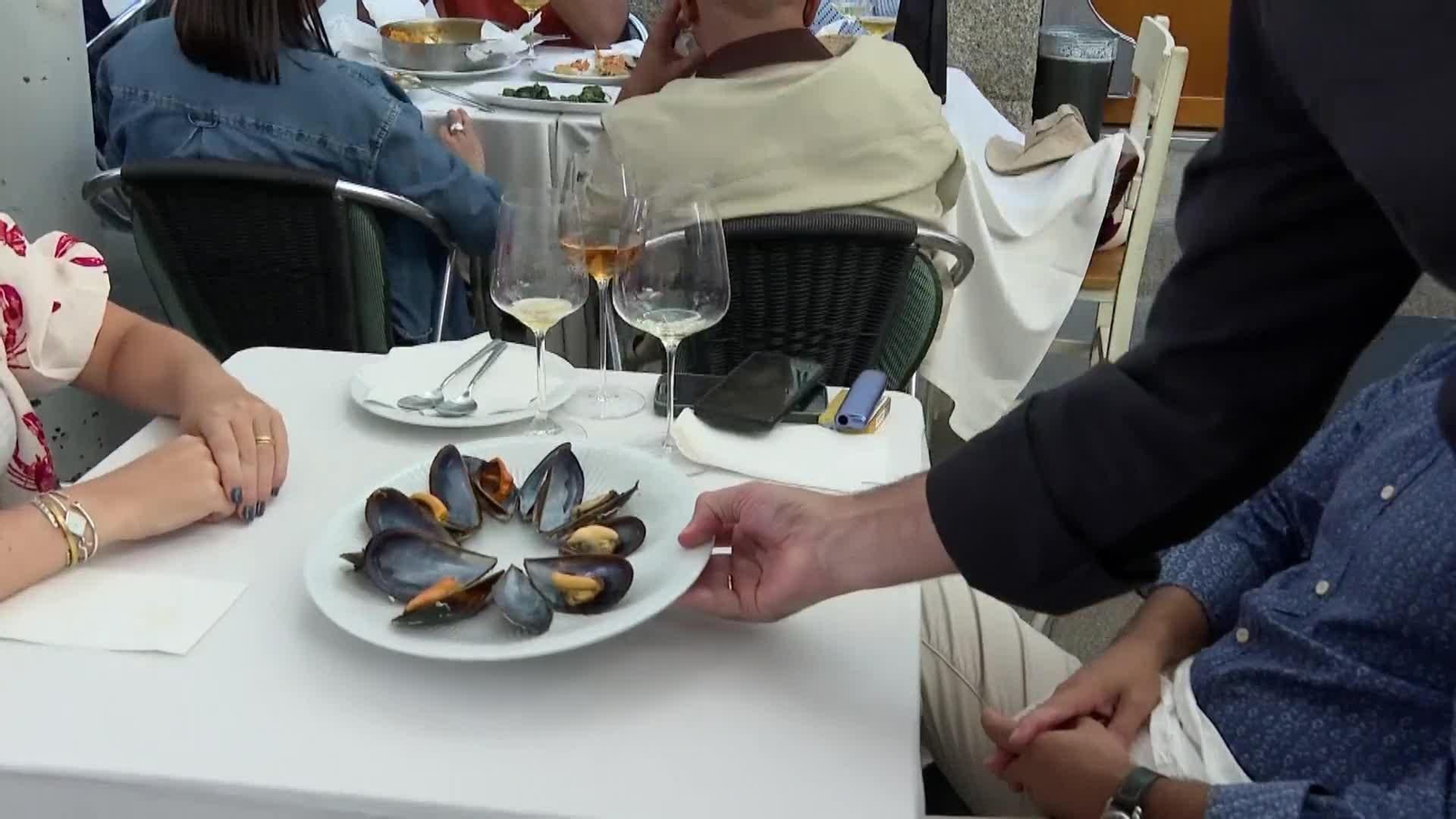 web el color de los mejillones web el color de los mejillones