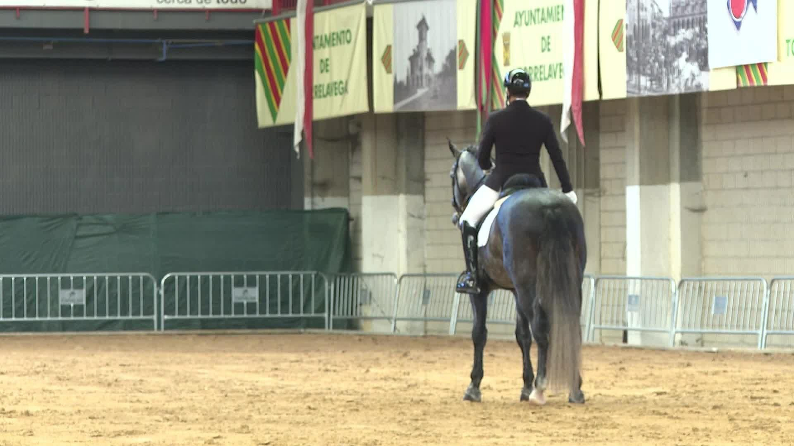 S035-CANTABRIA CONCURSO CABALLOS