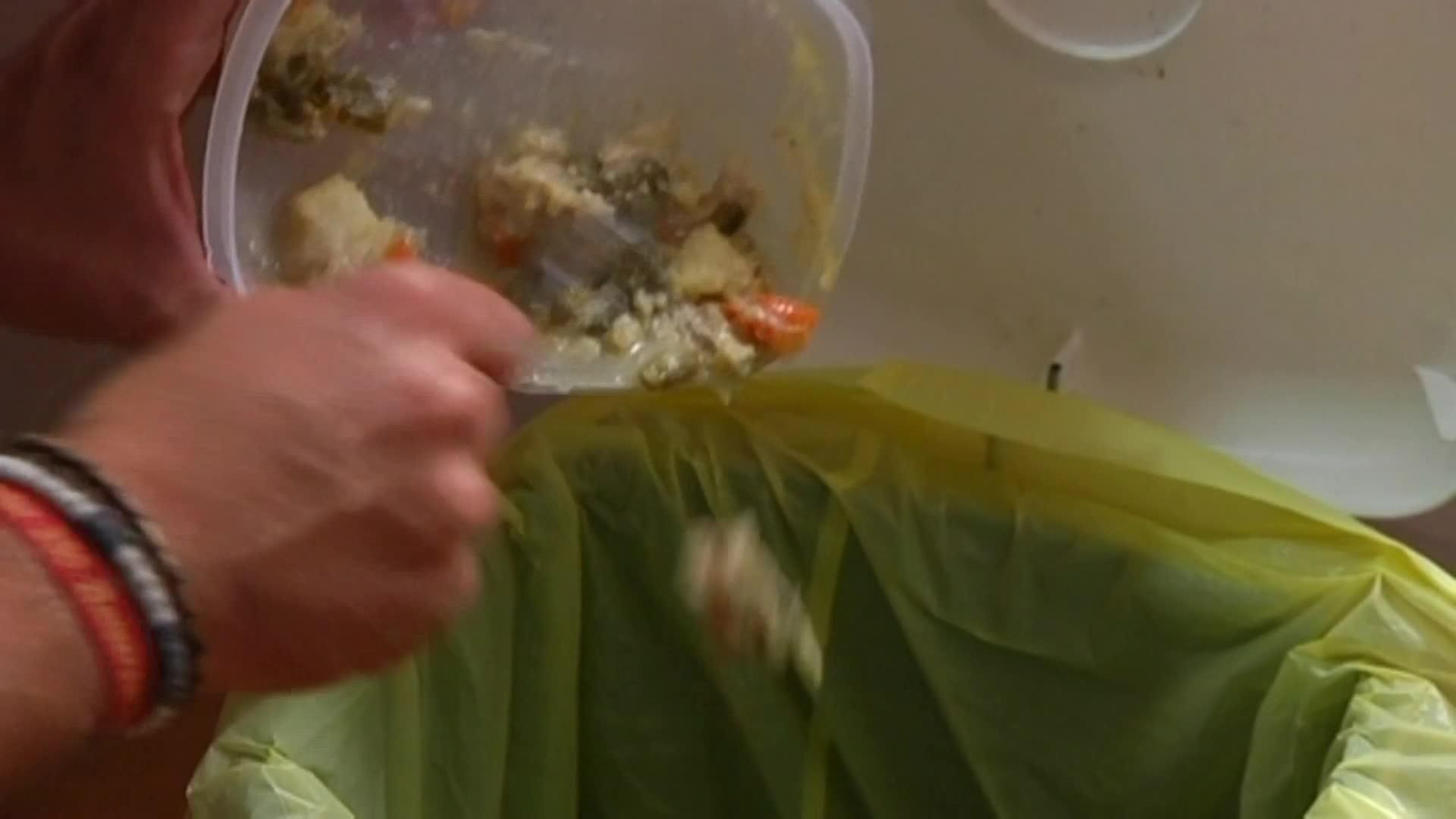 web desperdicio alimentario