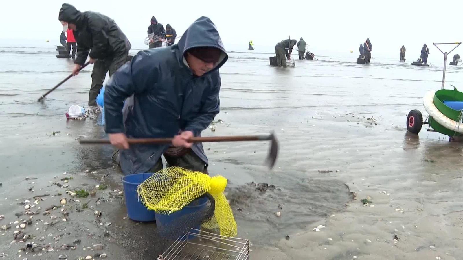 web mariscadoras temporal
