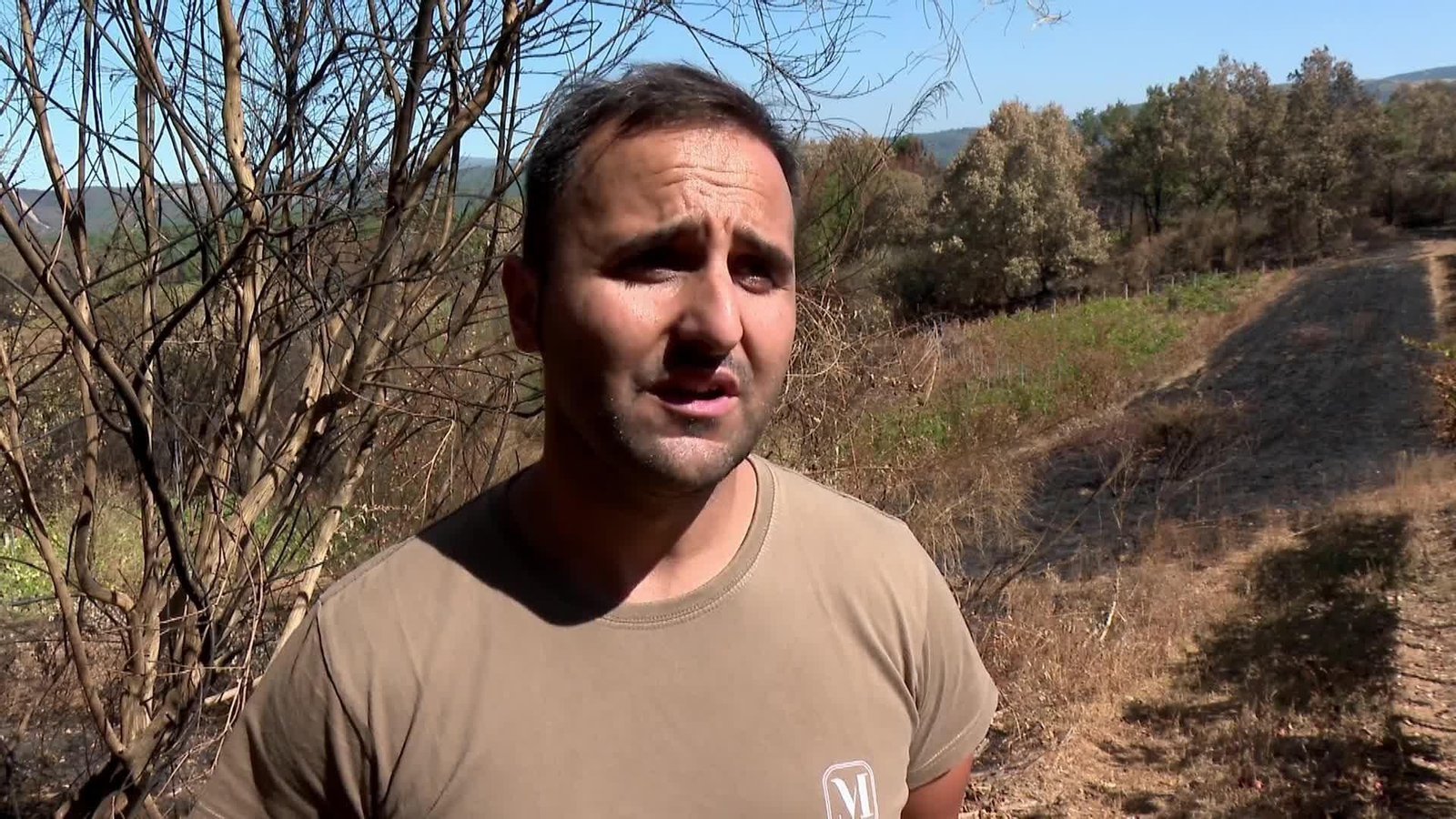 web daños campo incendios