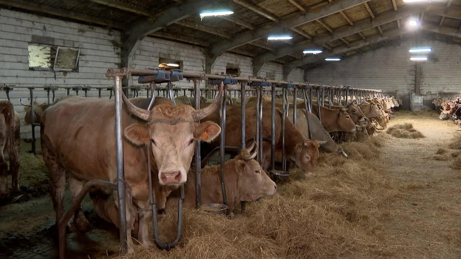 S030-CANTABRIA ACUERDO MERCOSUR