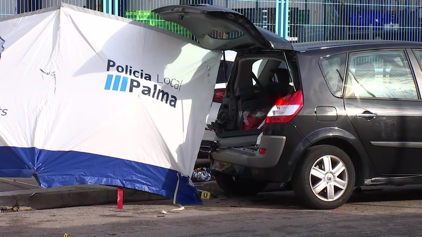 D037-MALLORCA ATROPELLO