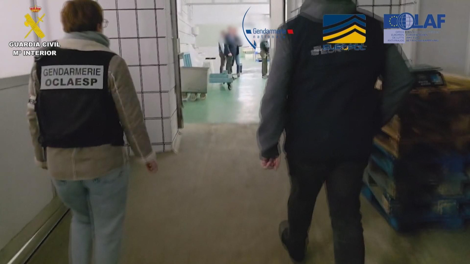 La Guardia Civil y la Gendarmería Nacional Francesa desmantelan una red de tráfico ilegal de angulas