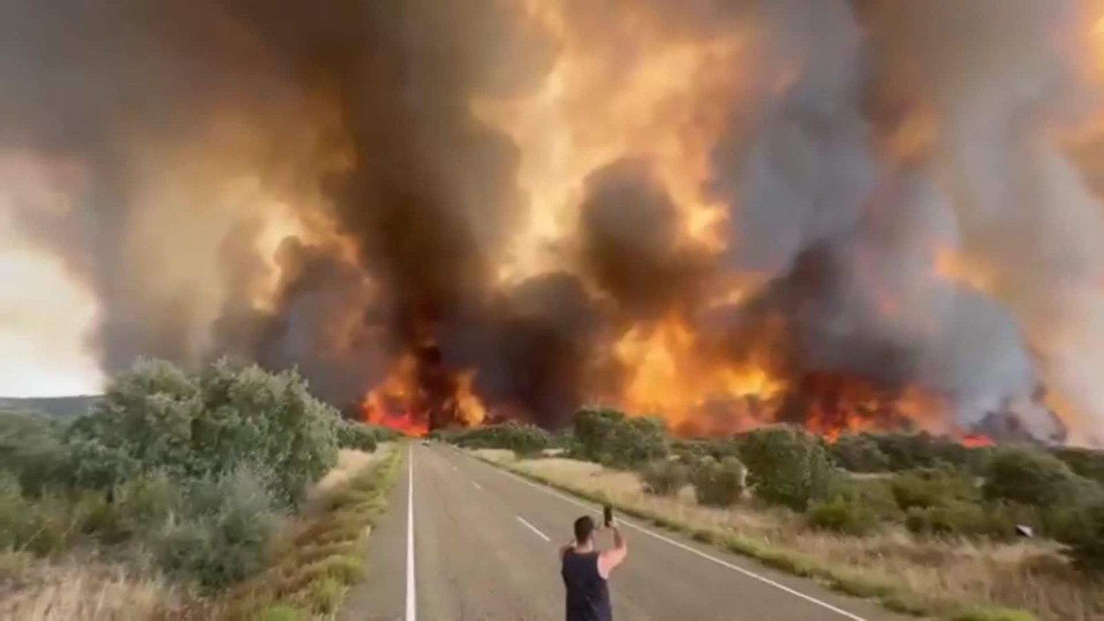 web incendios castilla y leon ok