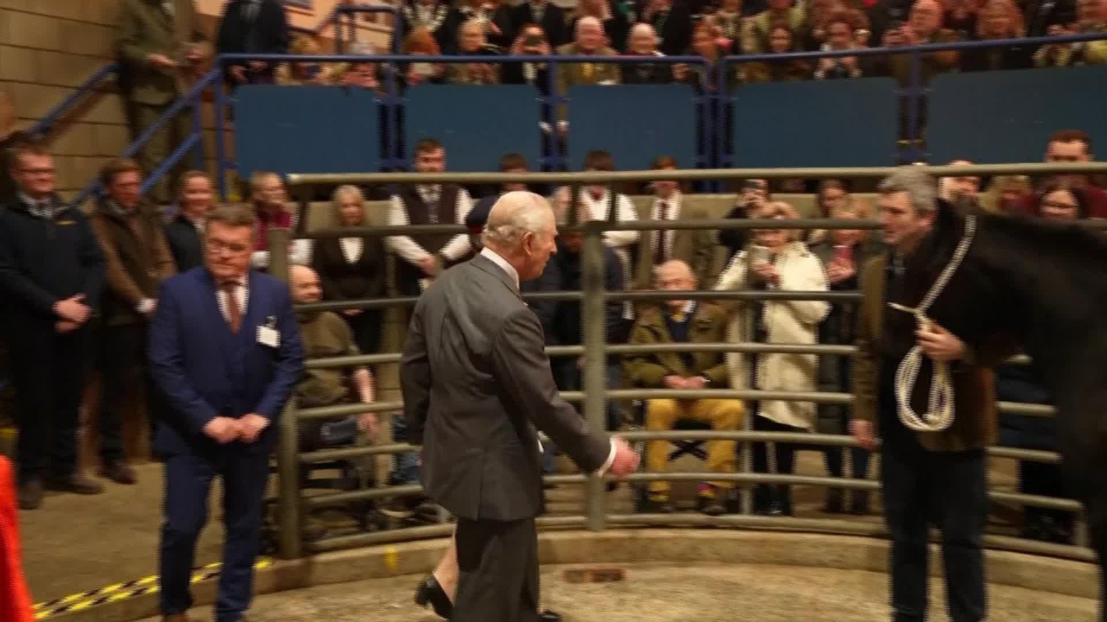 M008-REINO UNIDO EVENTO REY CON ANIMALES