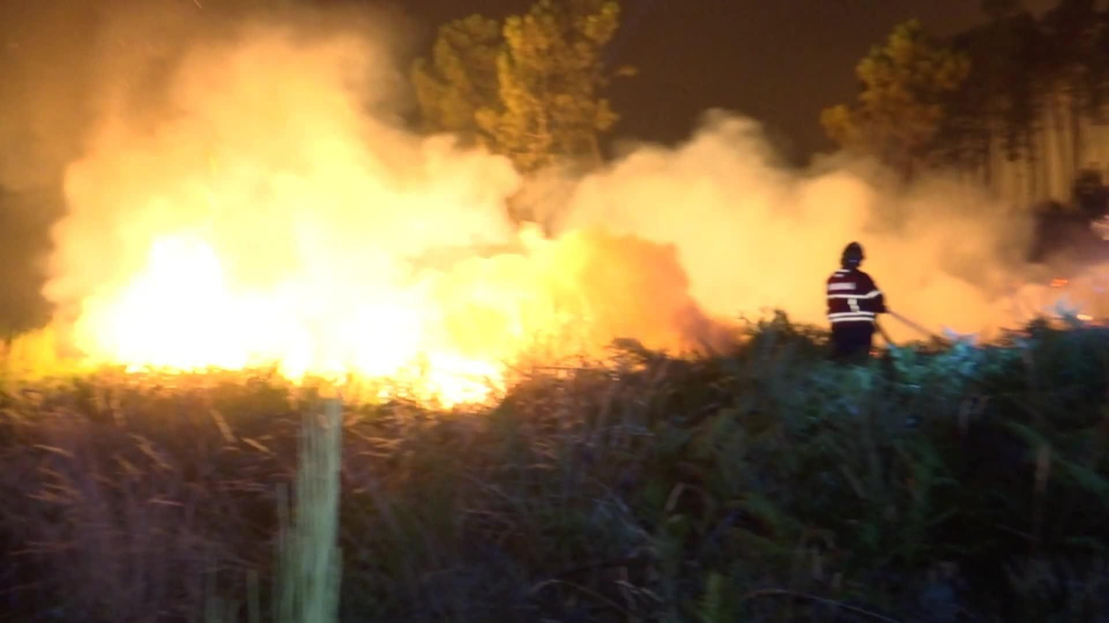 web incendio portugal