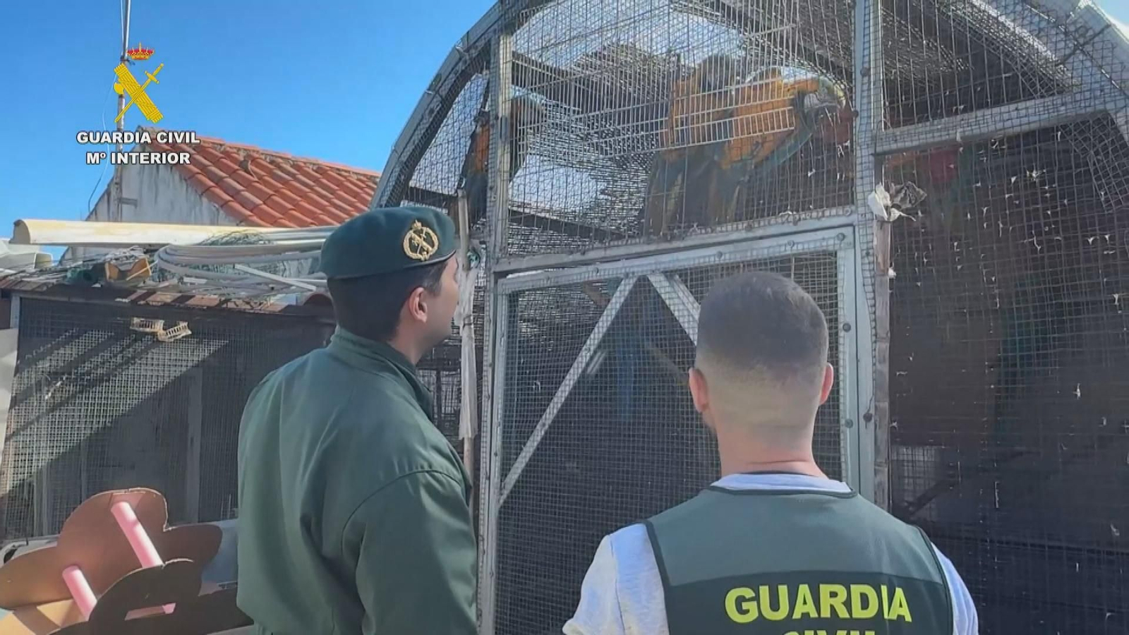 guardia civil rescate aves