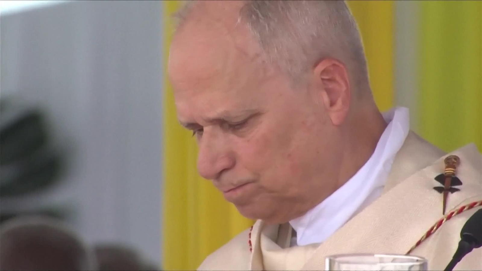 va viaje papa camerun