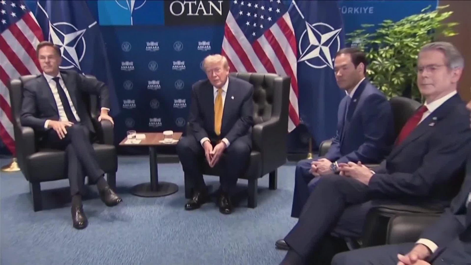 web trump delirio