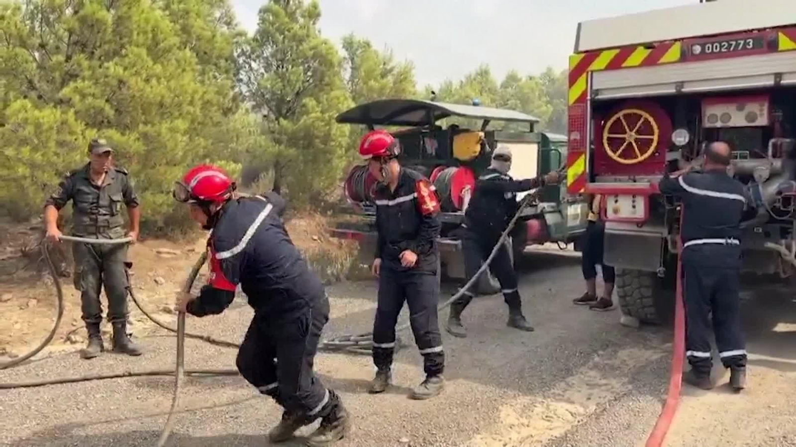 M052-ARGELIA INCENDIO FORESTAL EN EL HACHIMIA