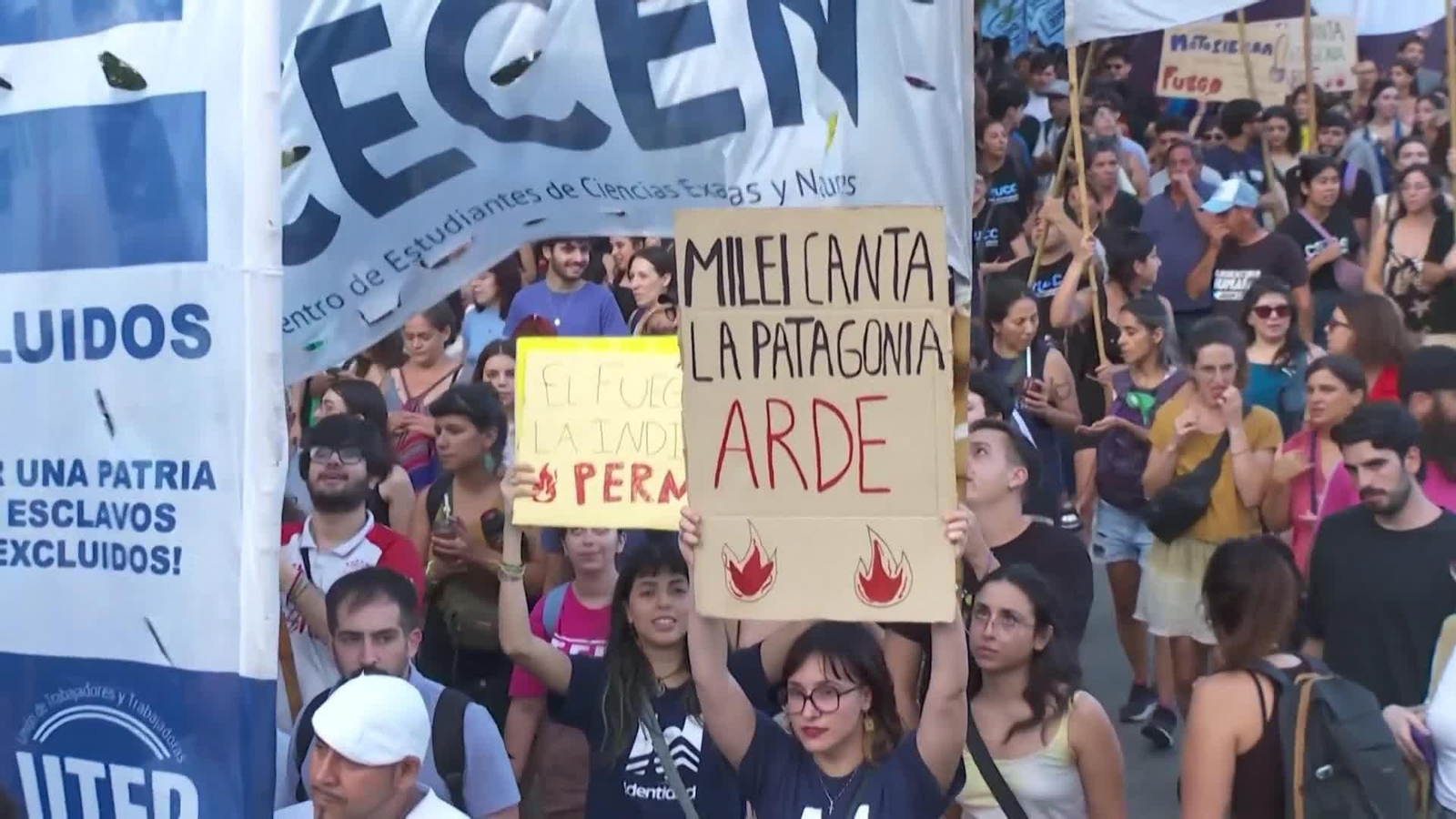 va manifestacion en buenos aires por incendios patagonia