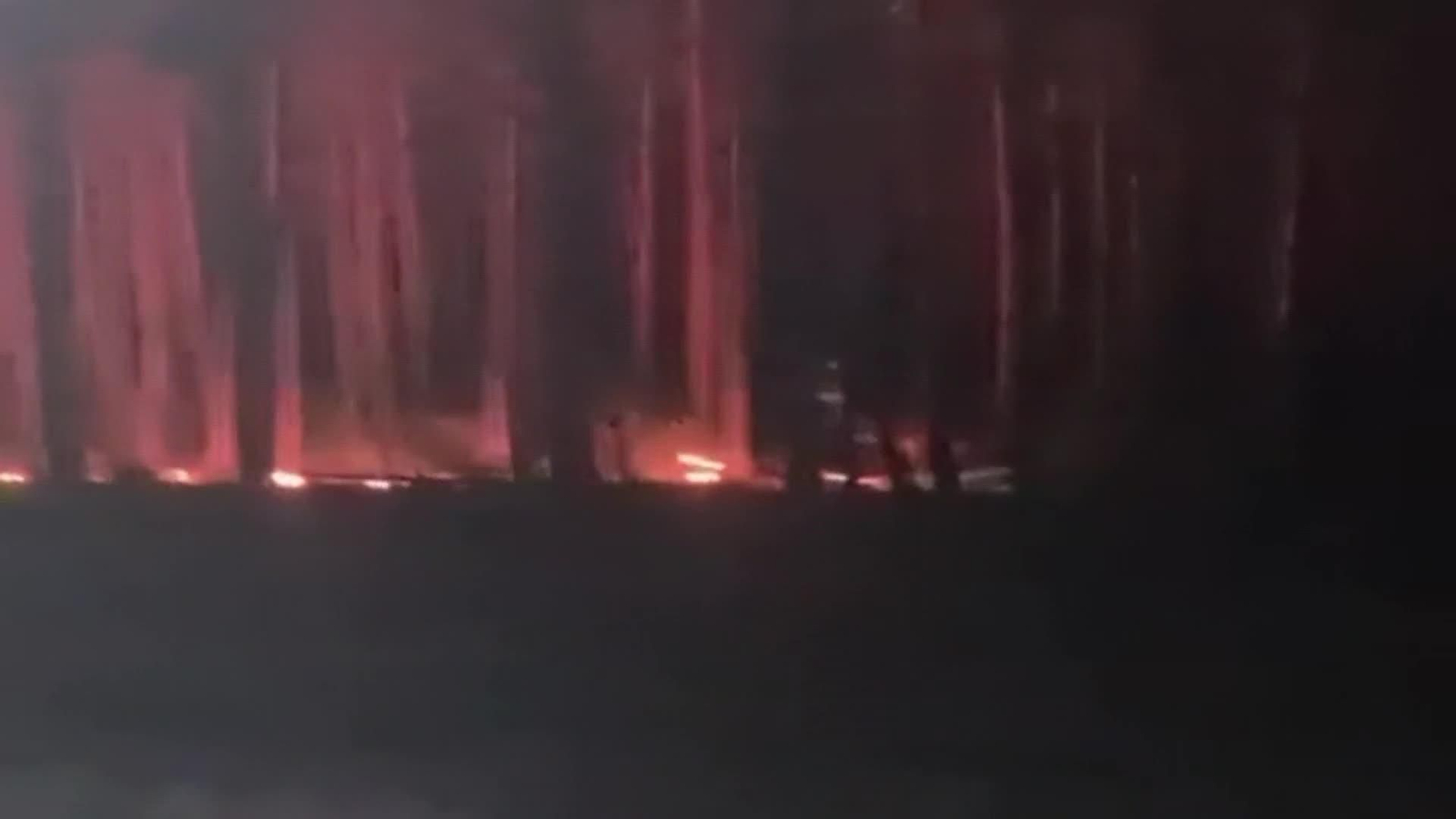 web fuego otra vez