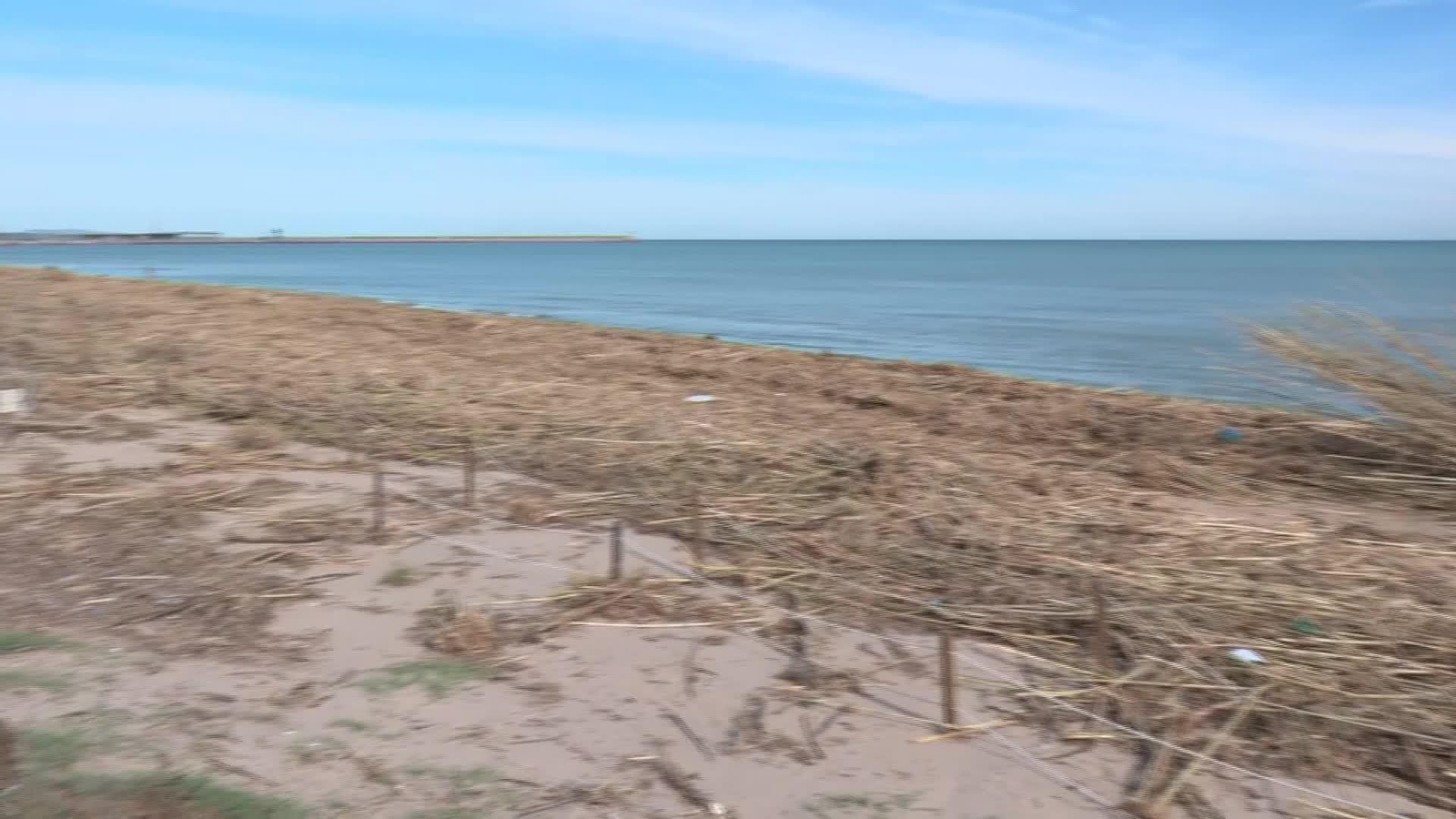 V083-VALENCIA PLAYA DAIMUS LLENA DE CAÑAS