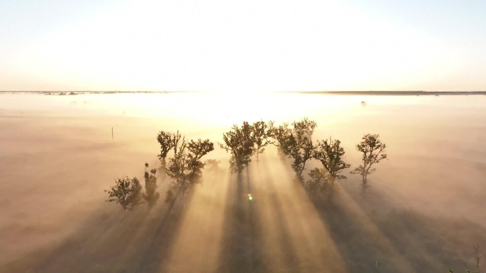 M005-FRANCIA IMAGENES DRON SUPERFICIE QUEMADA INCENDIOS