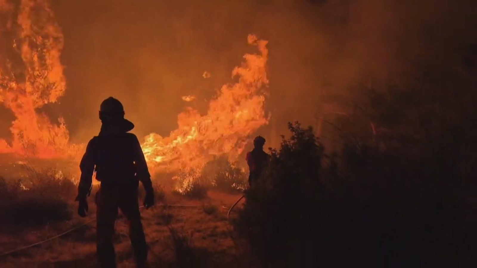 El incendio del Pico del Lobo supera ya las 2.000 hectáreas