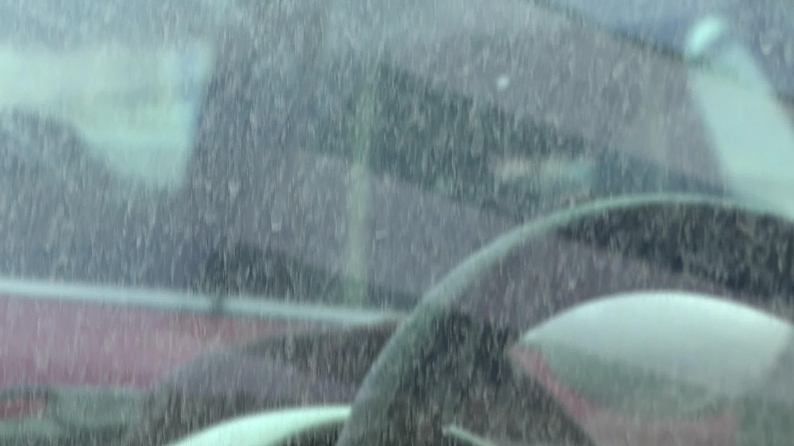 M047-EDI VARIOS BORRASCA REGINA