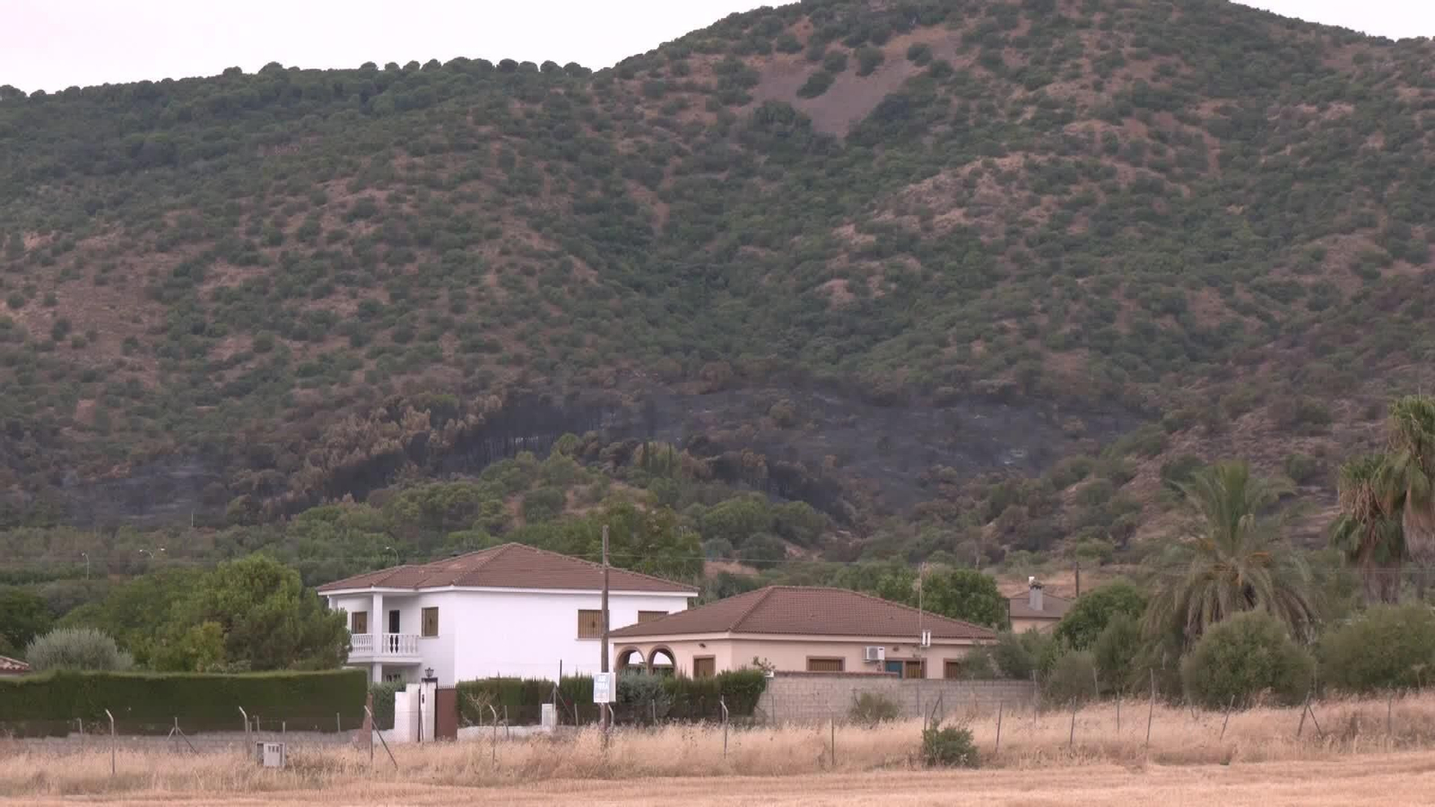 X076-CORDOBA INCENDIO TARDE