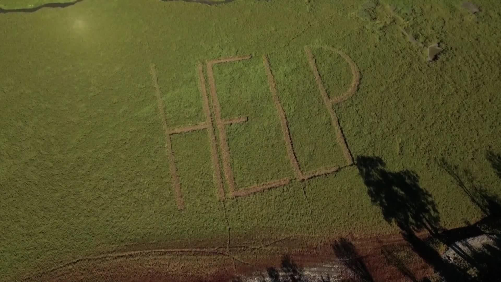 va suiza lago ayuda