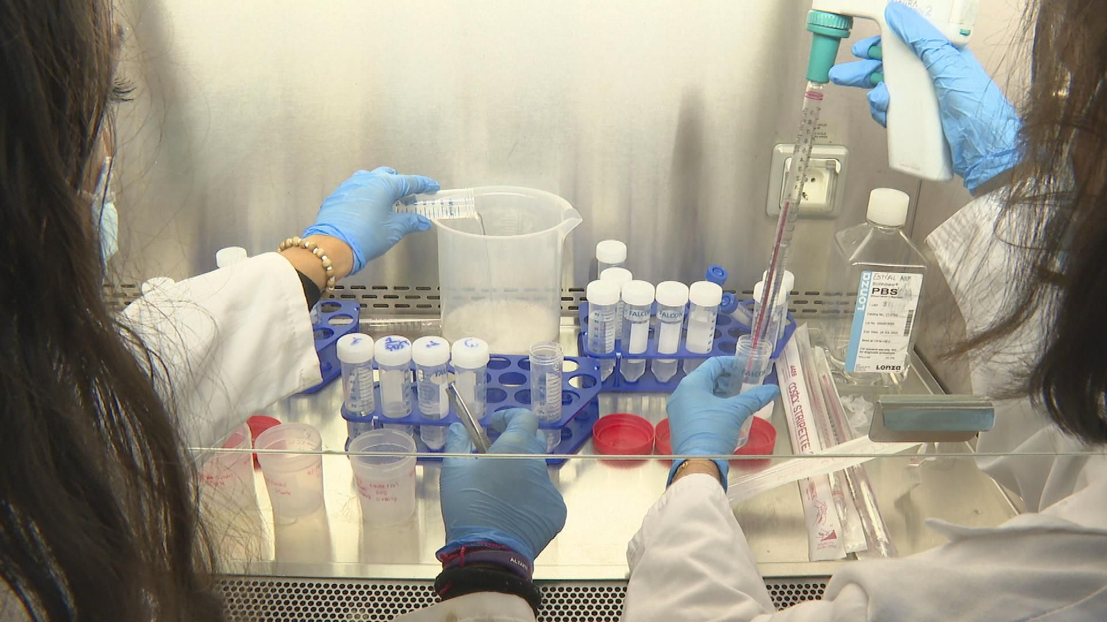 mujeres cientificas