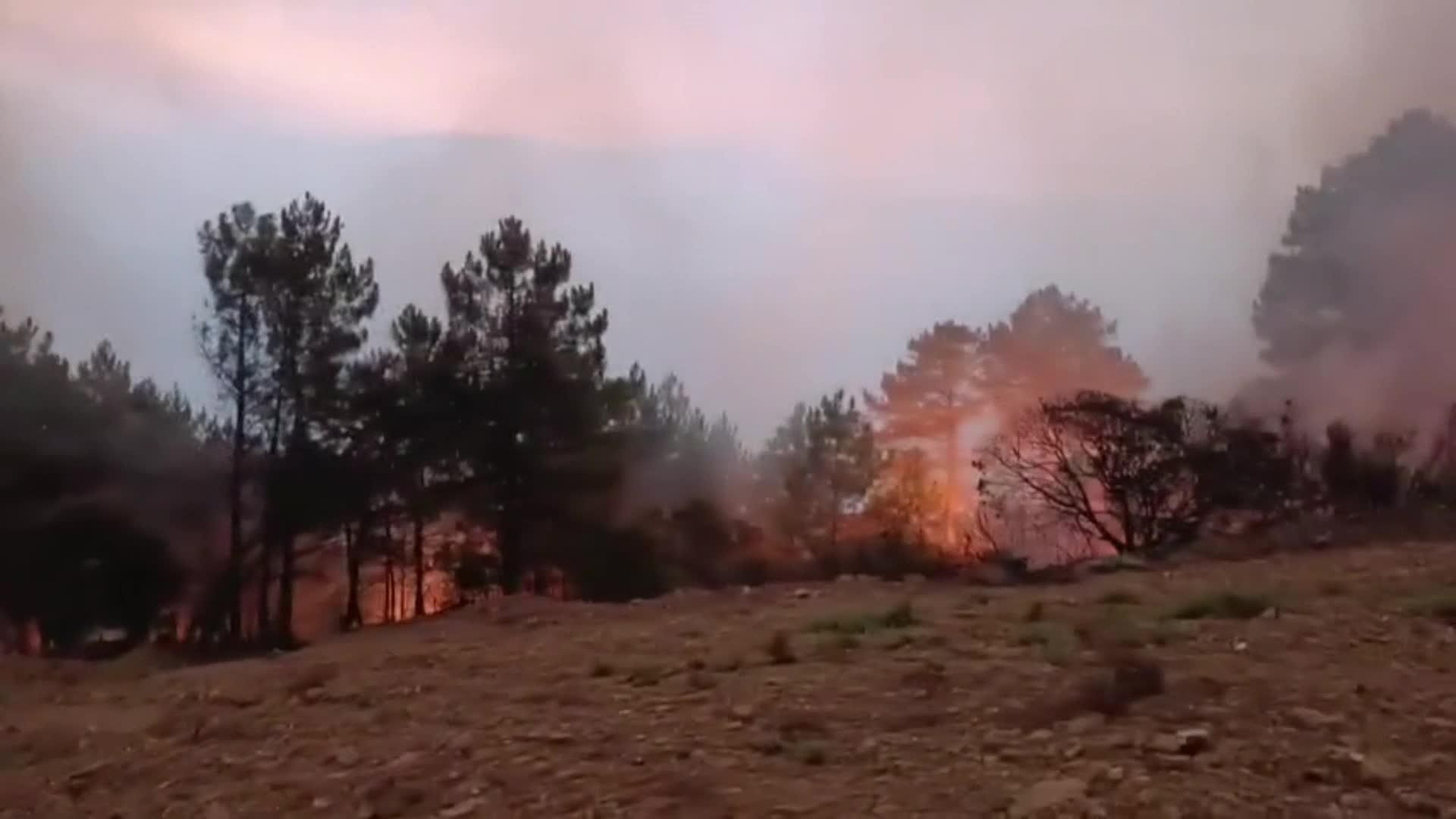 web incendio hurdes OK