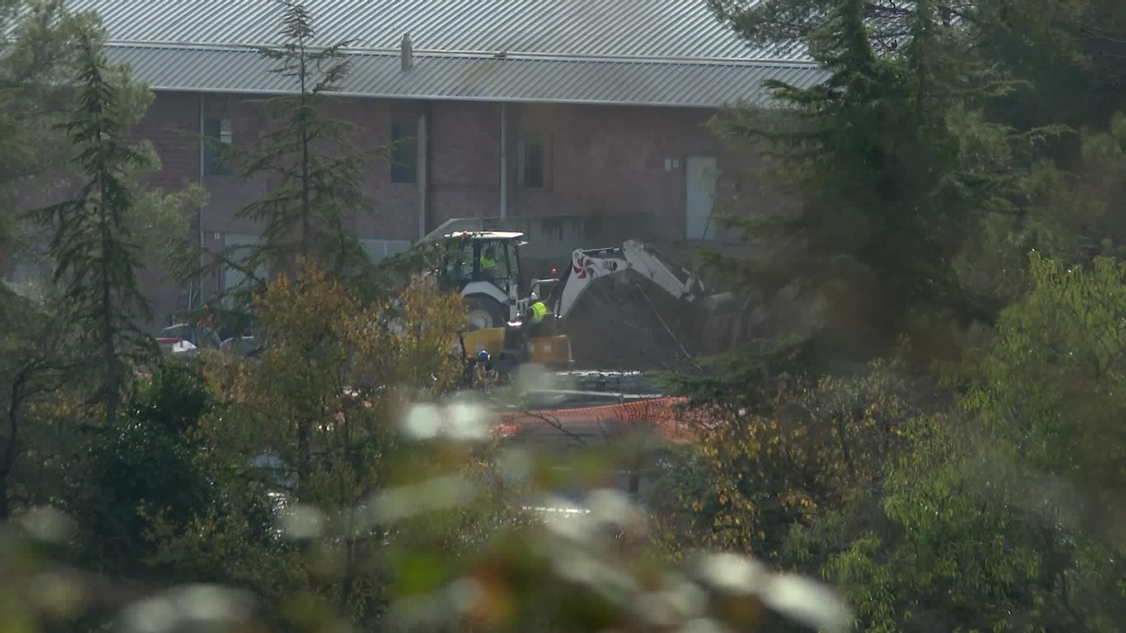 X057-BARCELONA SEGUIMIENTO PESTE PORCINA