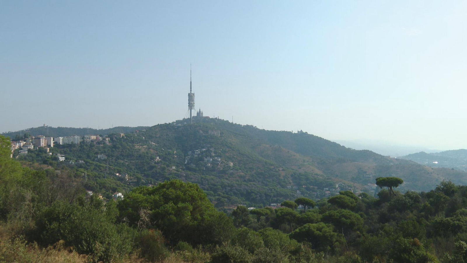 Collserola