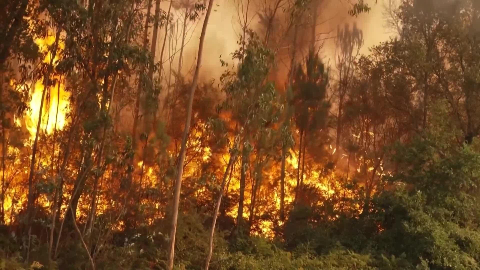 va portugal arde