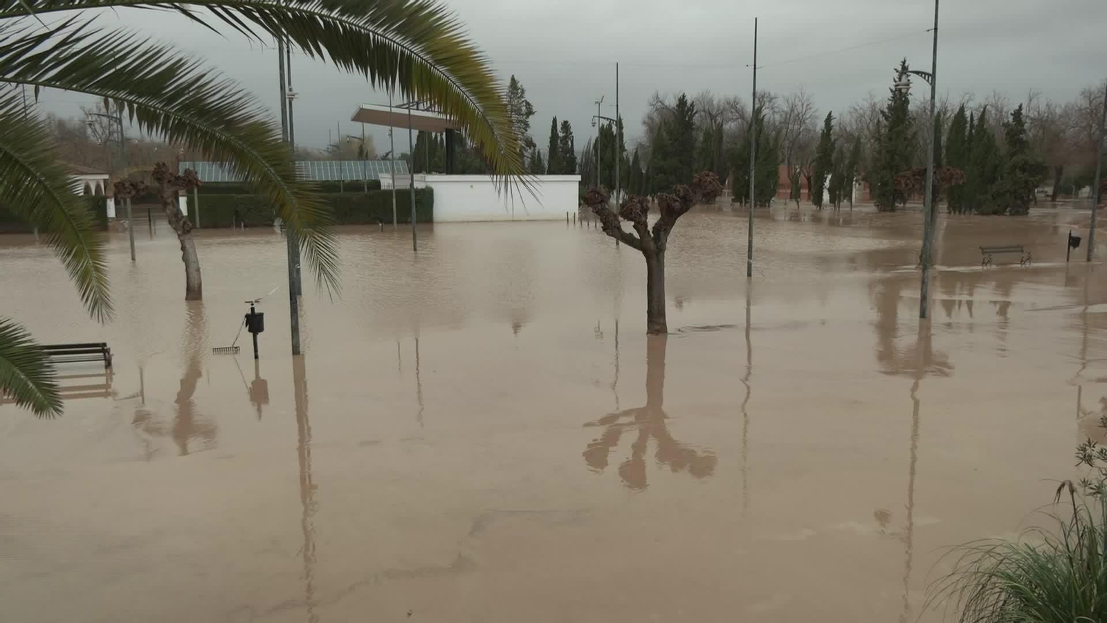 L077-JAEN VILLANUEVA DE LA REINA TEMPORAL TARDE