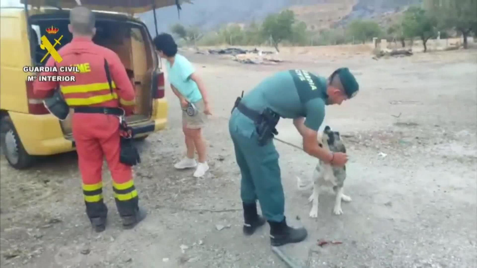 va rescate mascota almeria