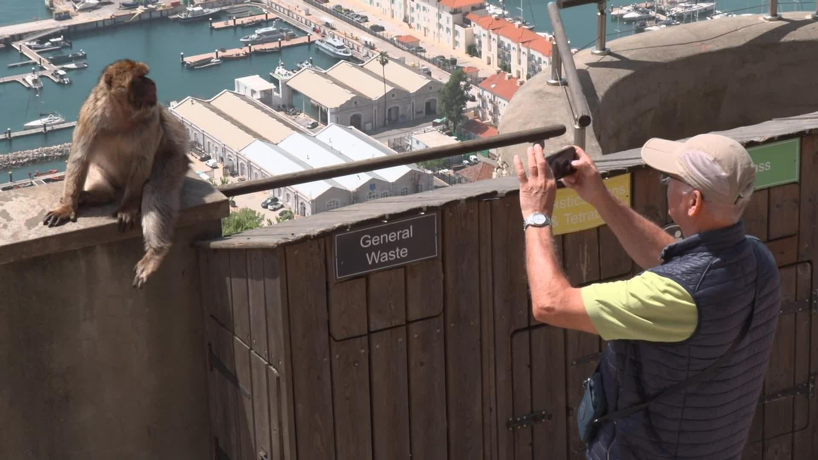 X089-GIBRALTAR MONOS TARDE