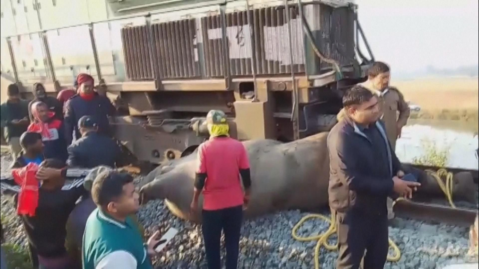 va elefantes trenok frame 70